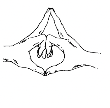 Mudras
